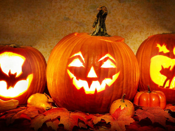 Halloween éco-responsable