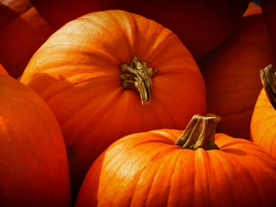 citrouille d'halloween