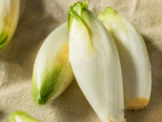 illustration d'une recette endives grillées sauce yaourt savoureuse