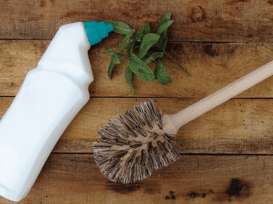 illustration Gel WC naturel fait maison